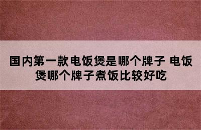 国内第一款电饭煲是哪个牌子 电饭煲哪个牌子煮饭比较好吃